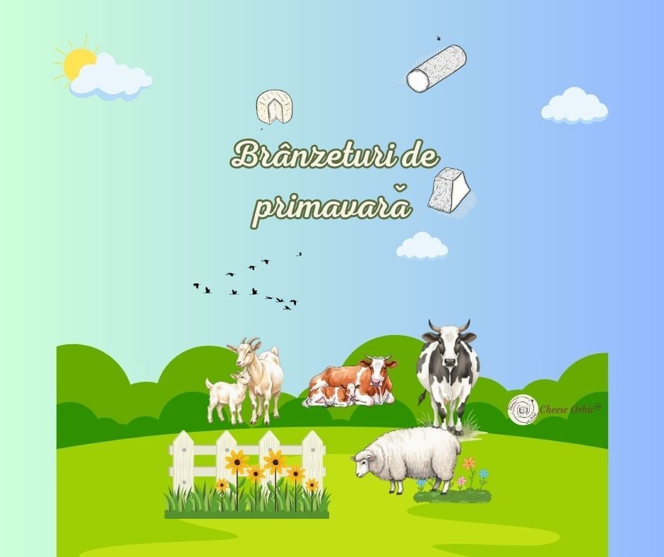 Coperta de carte cu desene cu animale