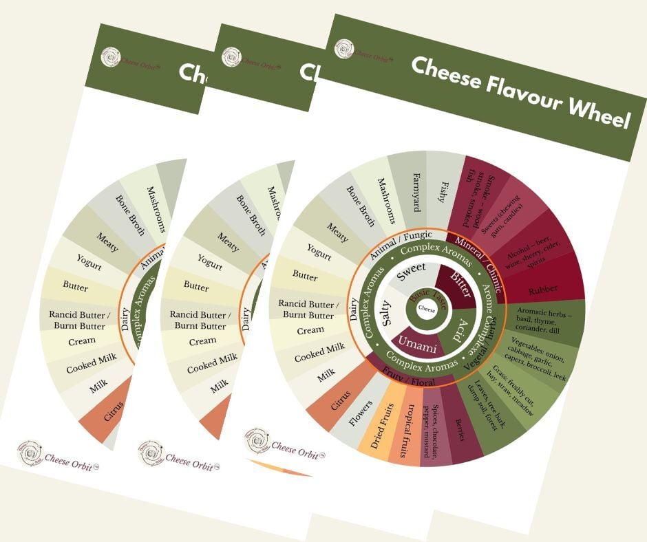 Cheese orbit flavour wheel