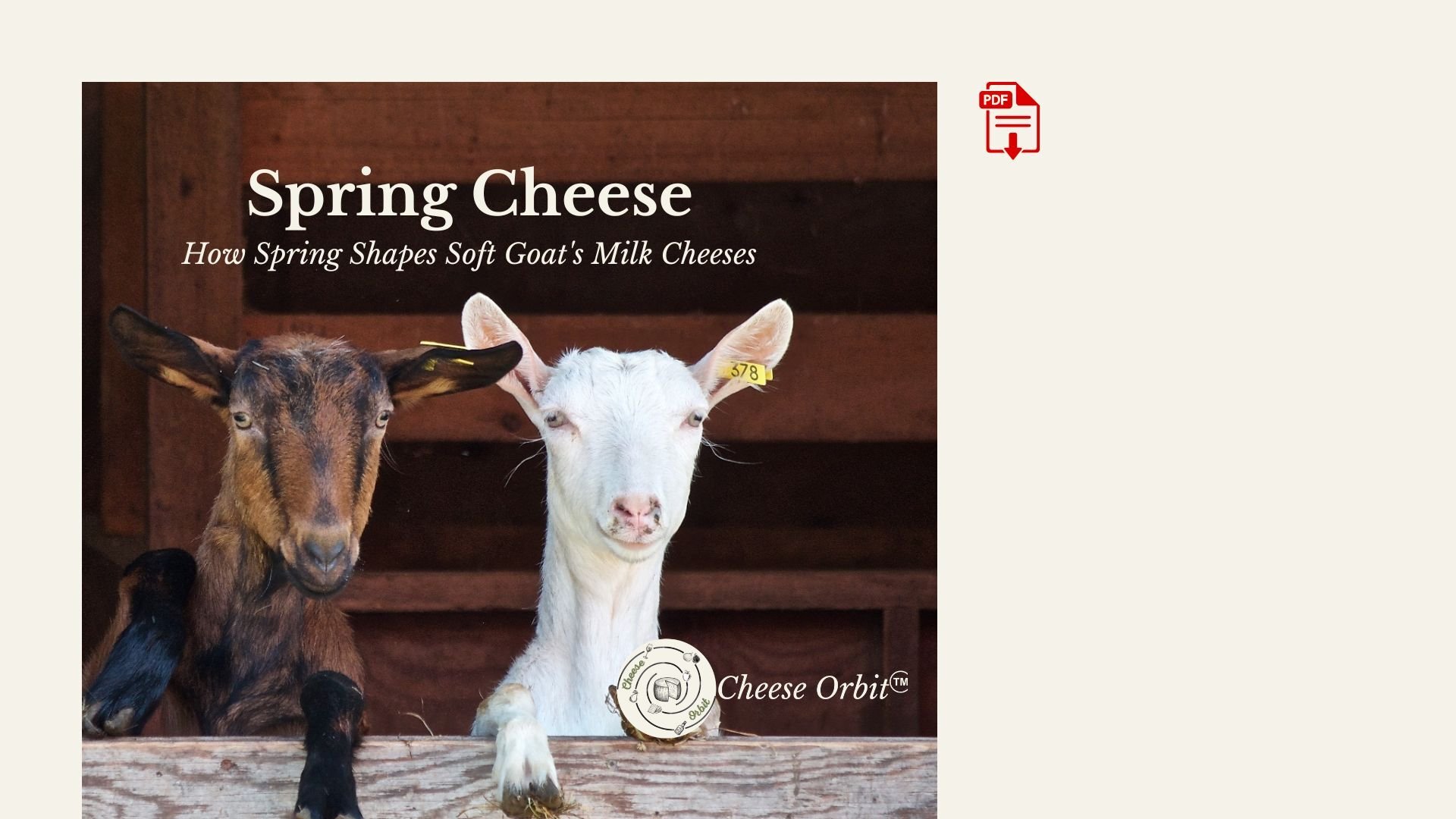 Copy of Copy of GE | Images | Cheese Orbit-3