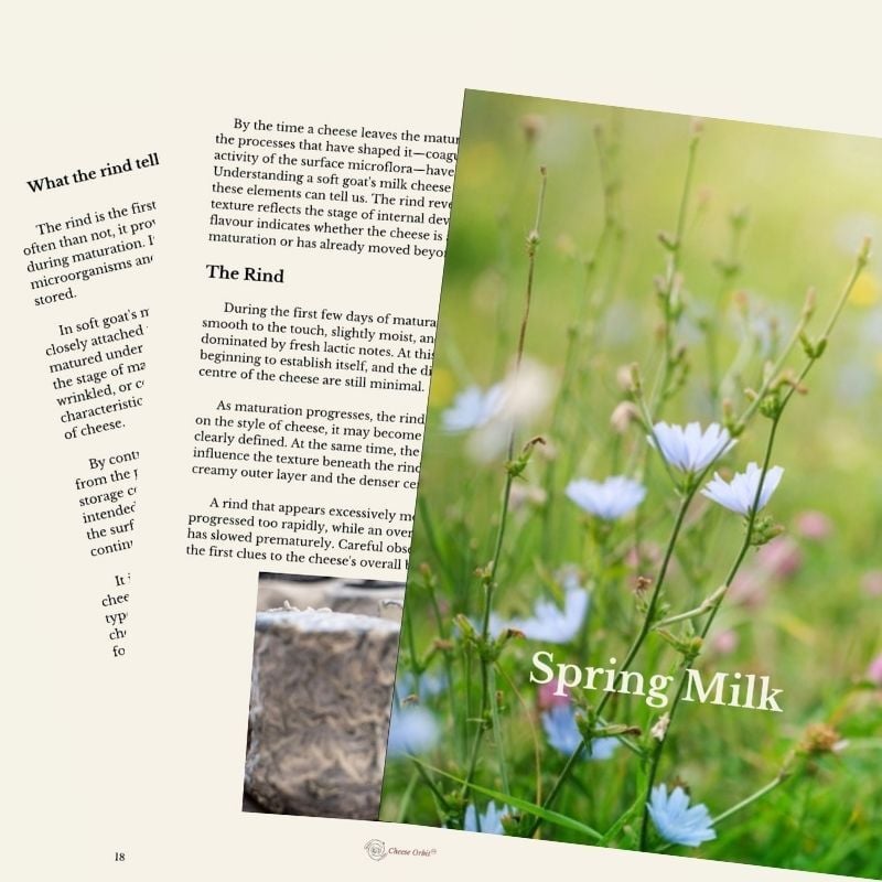 Contents of Spring Cheeses PDF|Cheese Orbit