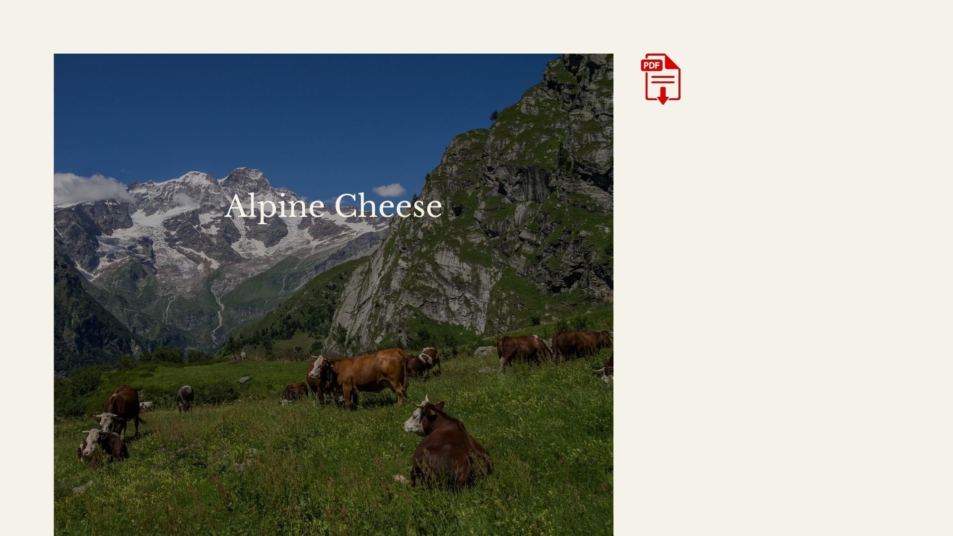 Copy of Copy of GE | Images | Cheese Orbit-Jul-15-2026-02-25-50-0212-PM Copy of Copy of GE | Images | Cheese Orbit-Jul-15-2026-02-25-50-0212-PM