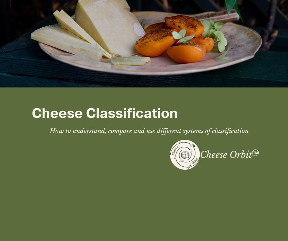 a plate of cheese cut in slices and grilled appricots