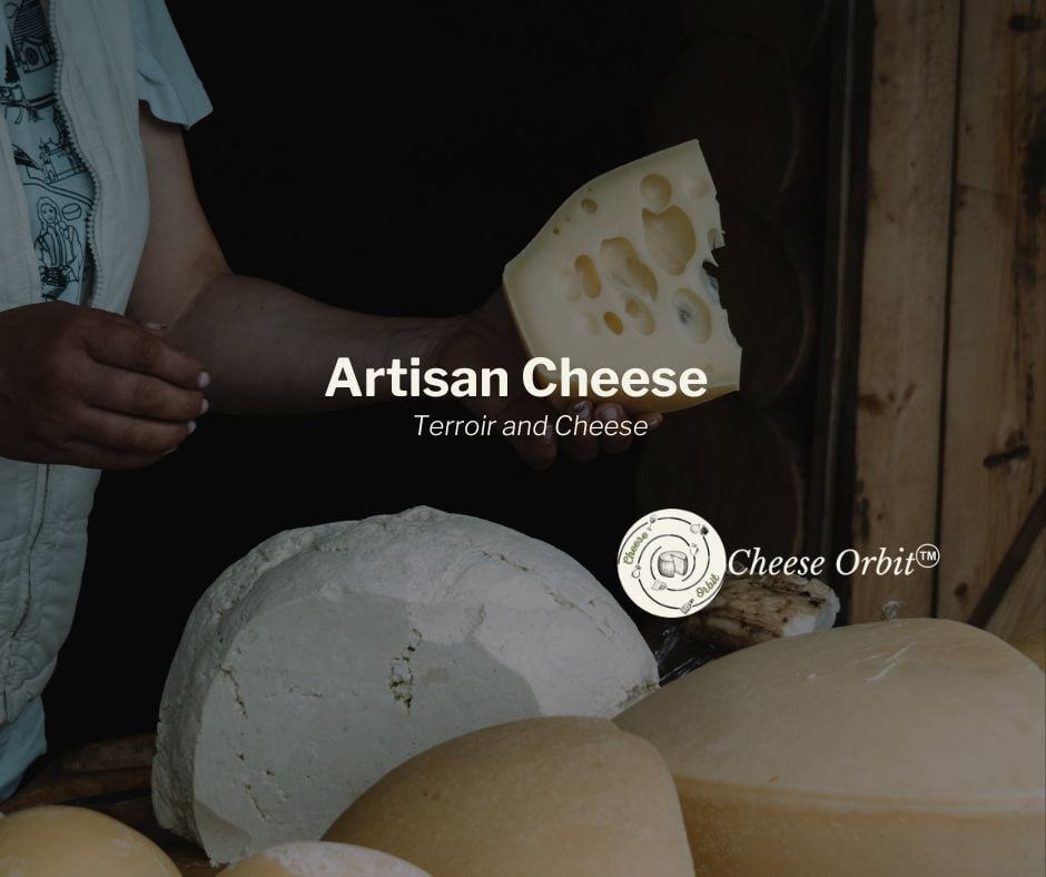 Artisan cheese - terroir and craftsmanship